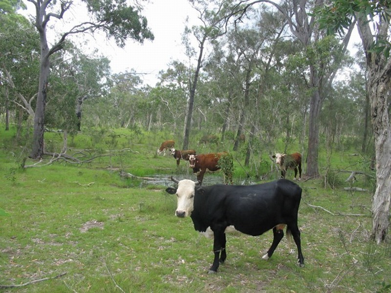 Agnes Water QLD 4677