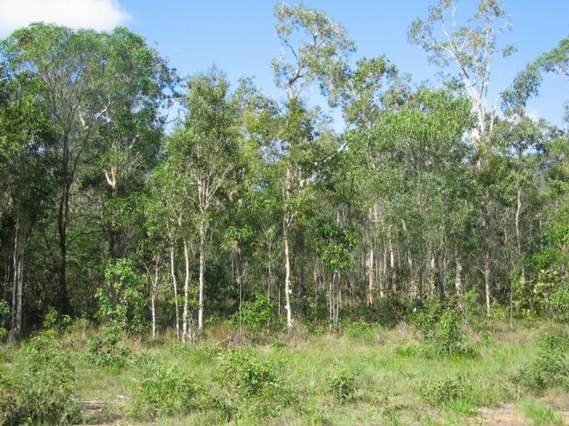 Agnes Water QLD 4677