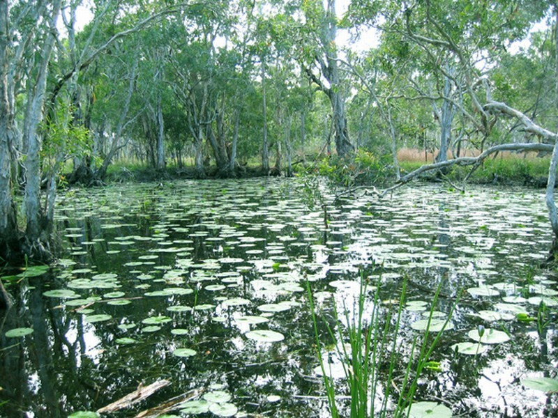 Agnes Water QLD 4677