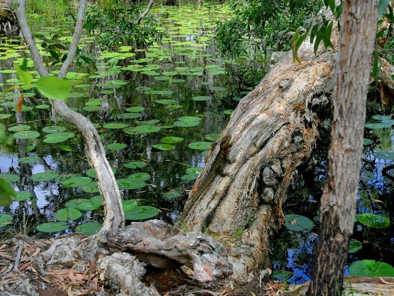 Agnes Water QLD 4677