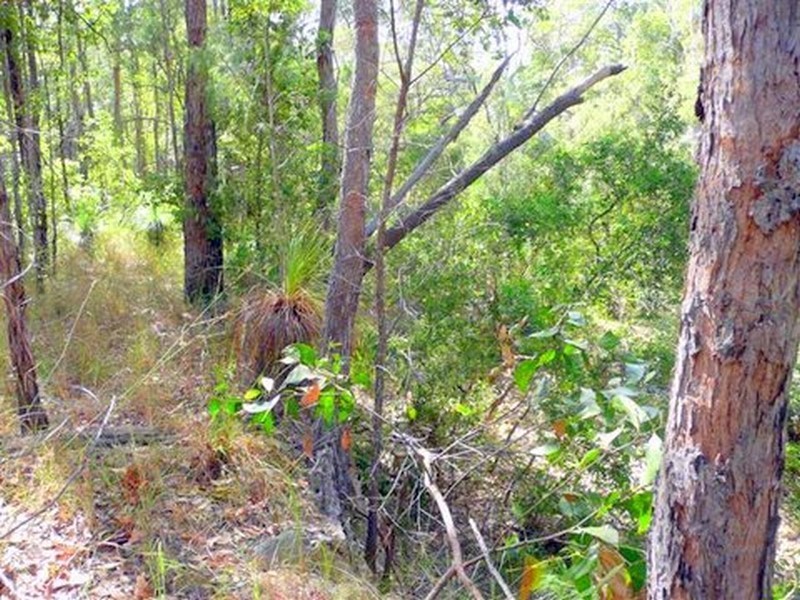 Agnes Water QLD 4677