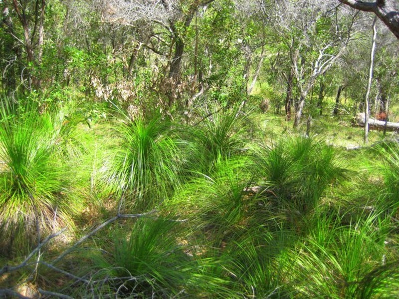 Agnes Water QLD 4677