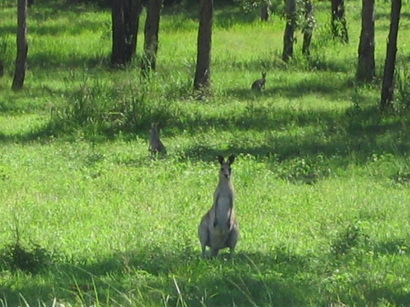 Agnes Water QLD 4677