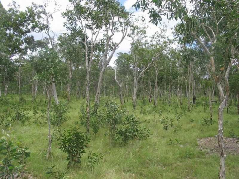 Agnes Water QLD 4677