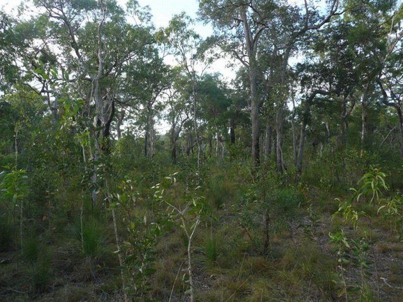 Captain Creek QLD 4677
