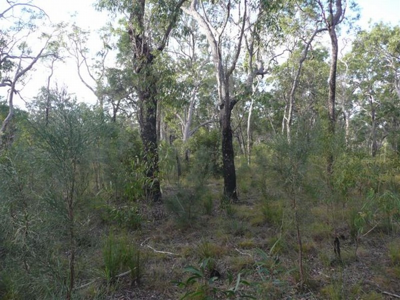 Captain Creek QLD 4677