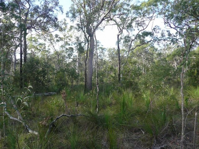 Captain Creek QLD 4677