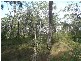 Captain Creek QLD 4677