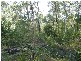 Captain Creek QLD 4677