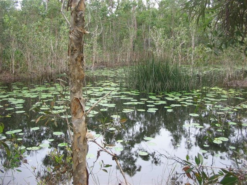 2476 Roundhill Road, Agnes Water QLD 4677