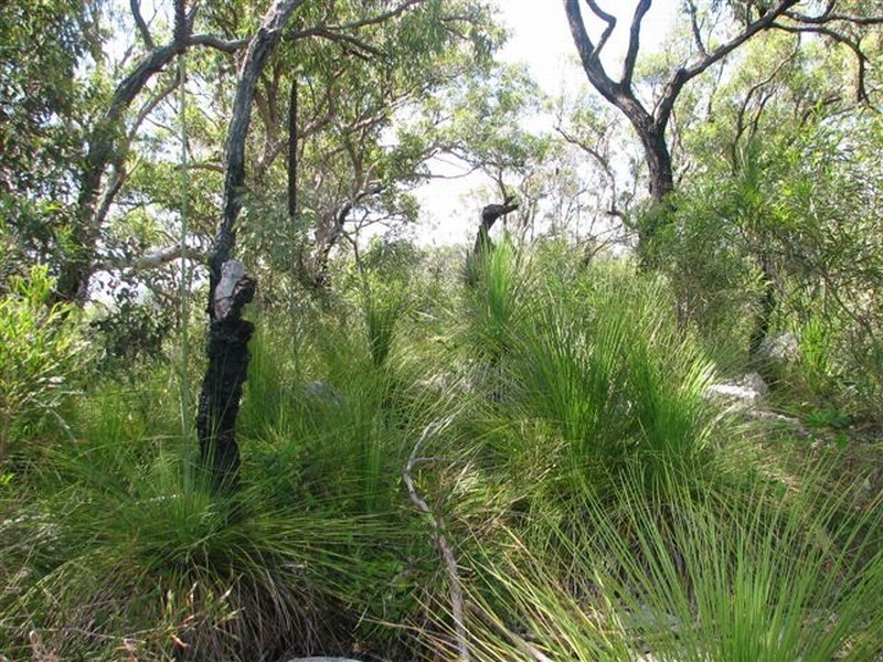 Agnes Water QLD 4677