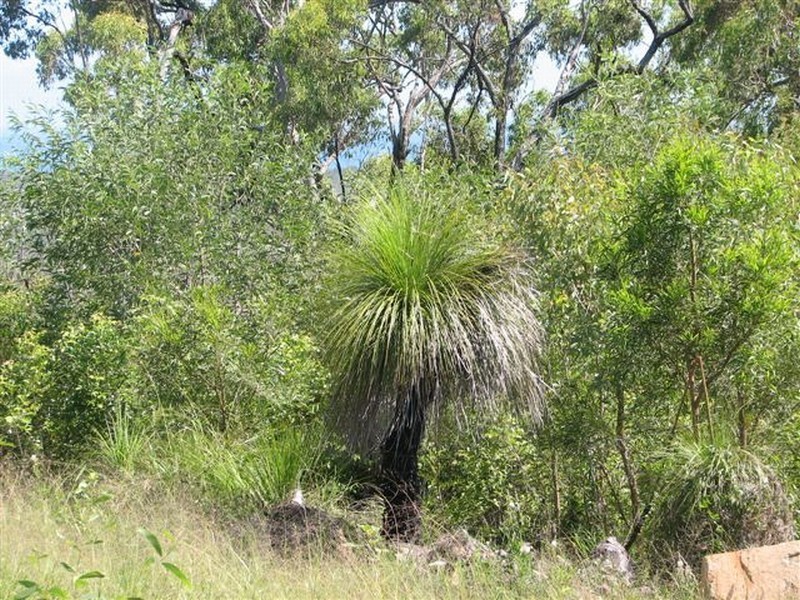 Agnes Water QLD 4677