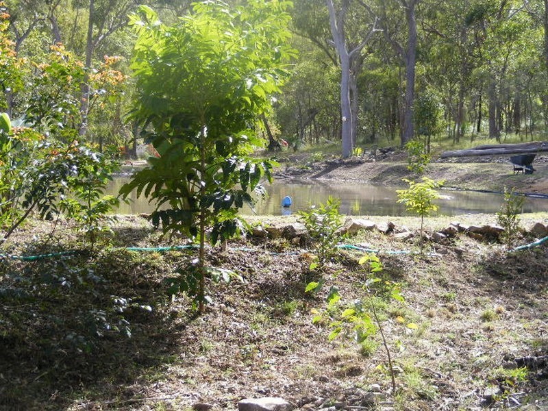 Agnes Water QLD 4677