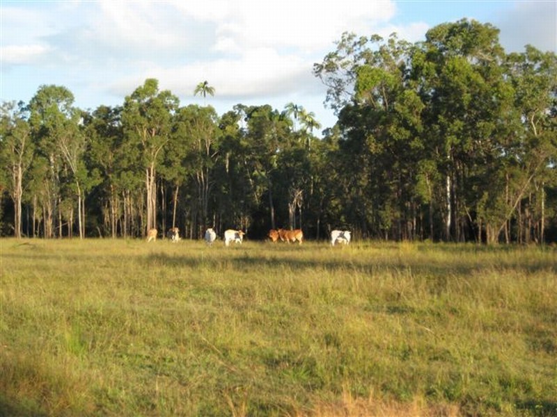 Agnes Water QLD 4677