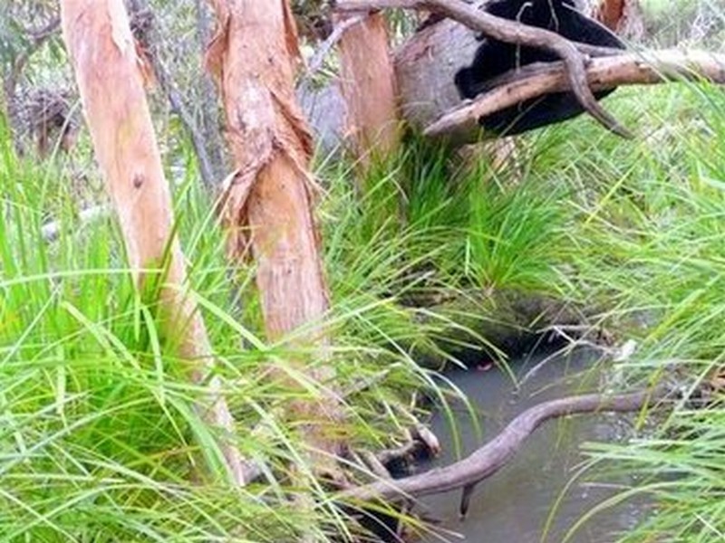 Agnes Water QLD 4677