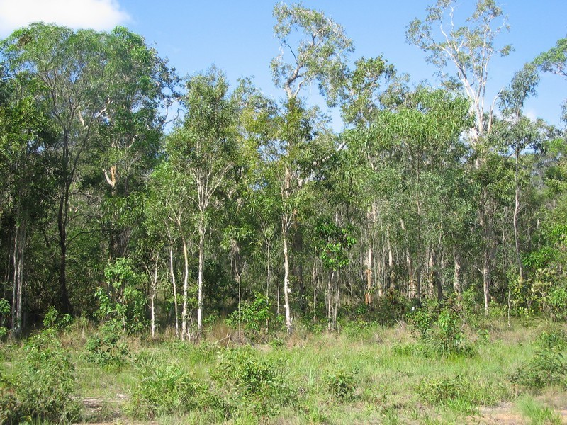 Agnes Water QLD 4677