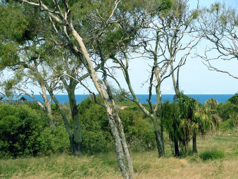 Agnes Water QLD 4677