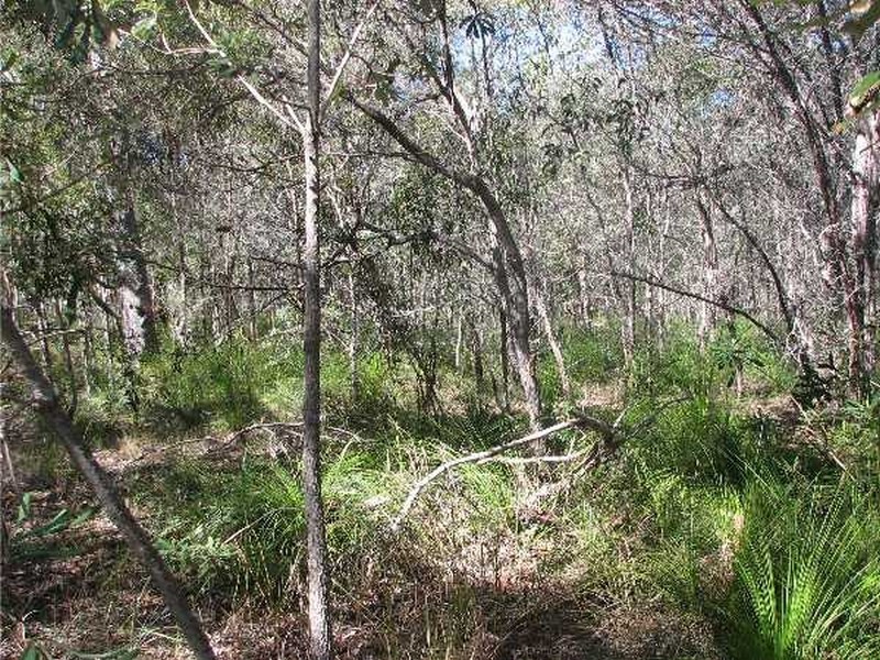 Agnes Water QLD 4677