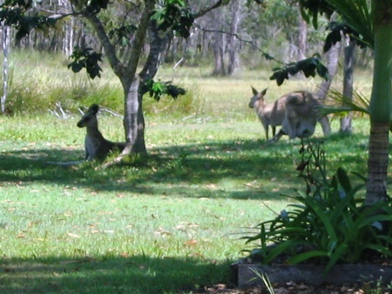 Agnes Water QLD 4677
