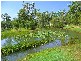 365 Dillon Rd, Agnes Water QLD 4677