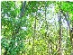 365 Dillon Rd, Agnes Water QLD 4677