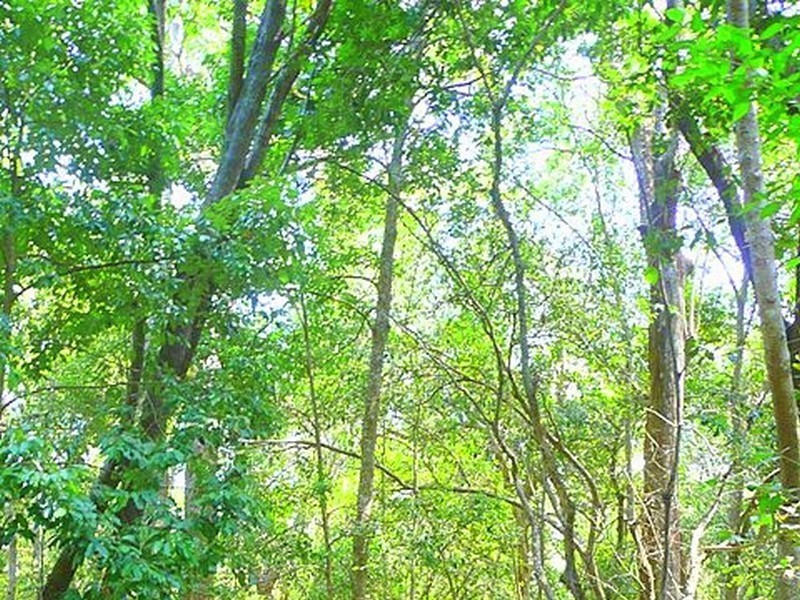 365 Dillon Rd, Agnes Water QLD 4677