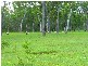 365 Dillon Rd, Agnes Water QLD 4677
