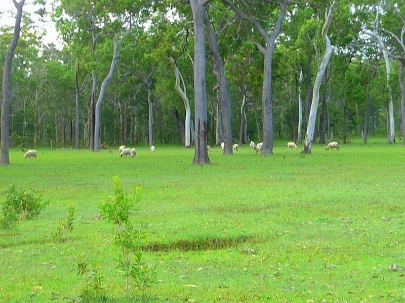 365 Dillon Rd, Agnes Water QLD 4677