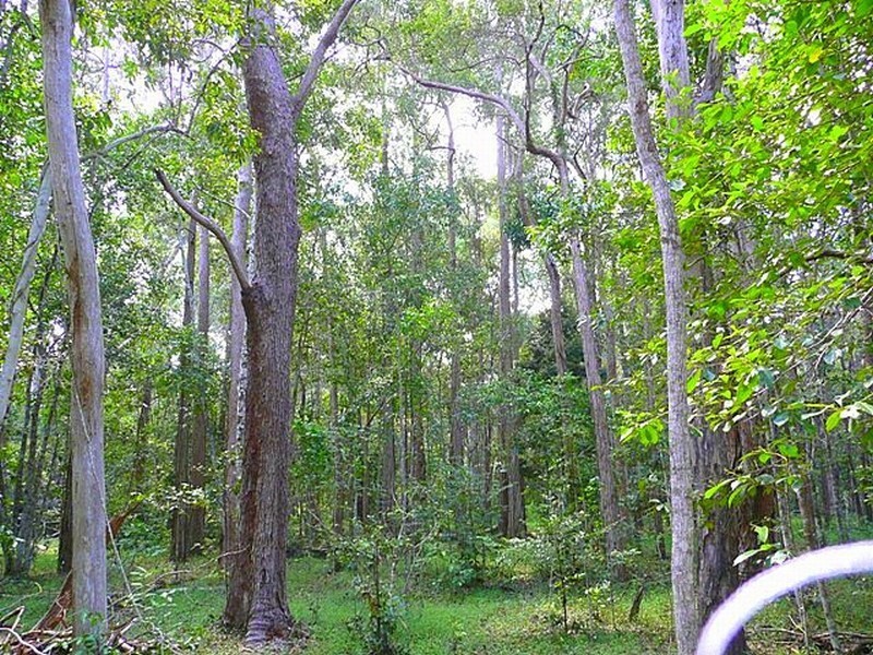 365 Dillon Rd, Agnes Water QLD 4677