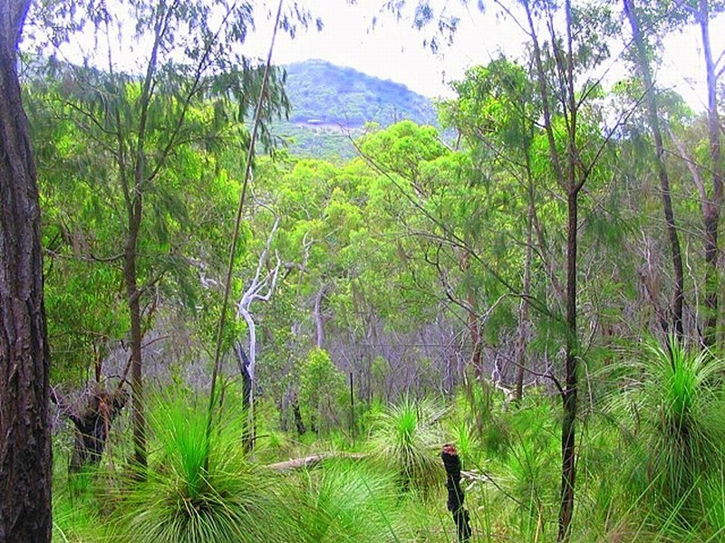 Agnes Water QLD 4677