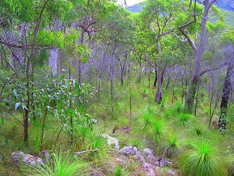 Agnes Water QLD 4677