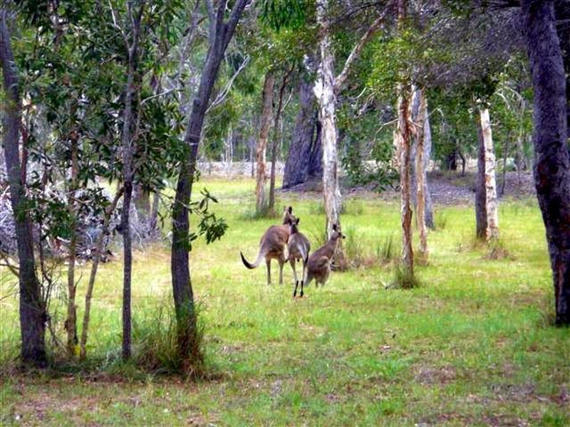 Agnes Water QLD 4677