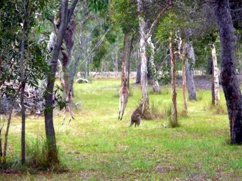 Agnes Water QLD 4677