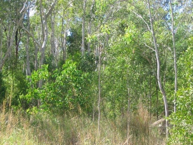 Agnes Water QLD 4677