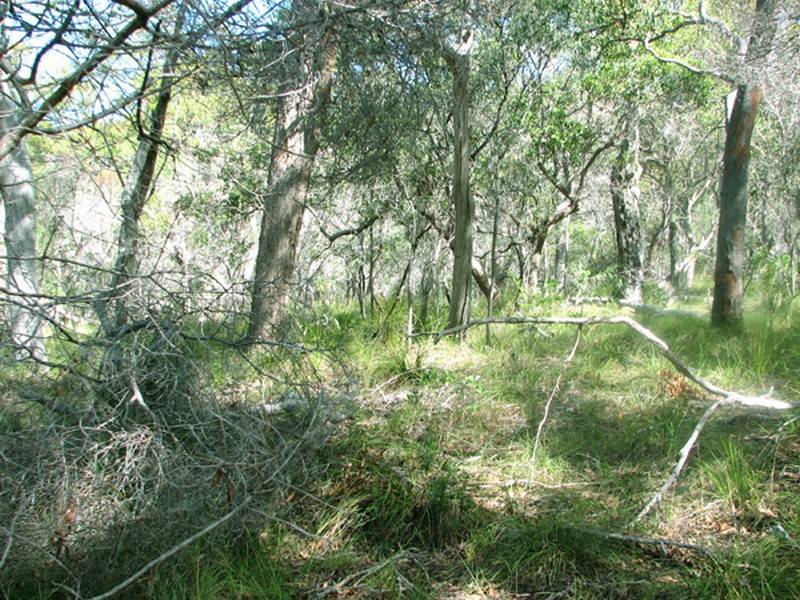 Agnes Water QLD 4677