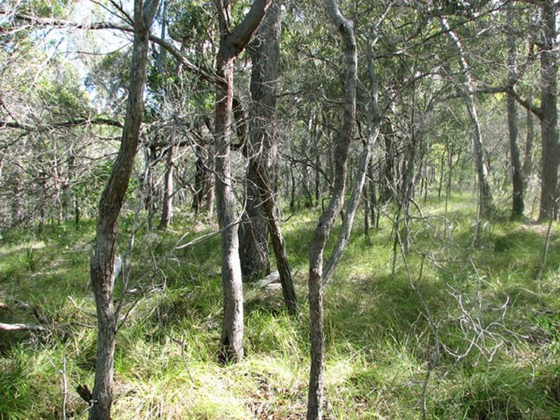 Agnes Water QLD 4677