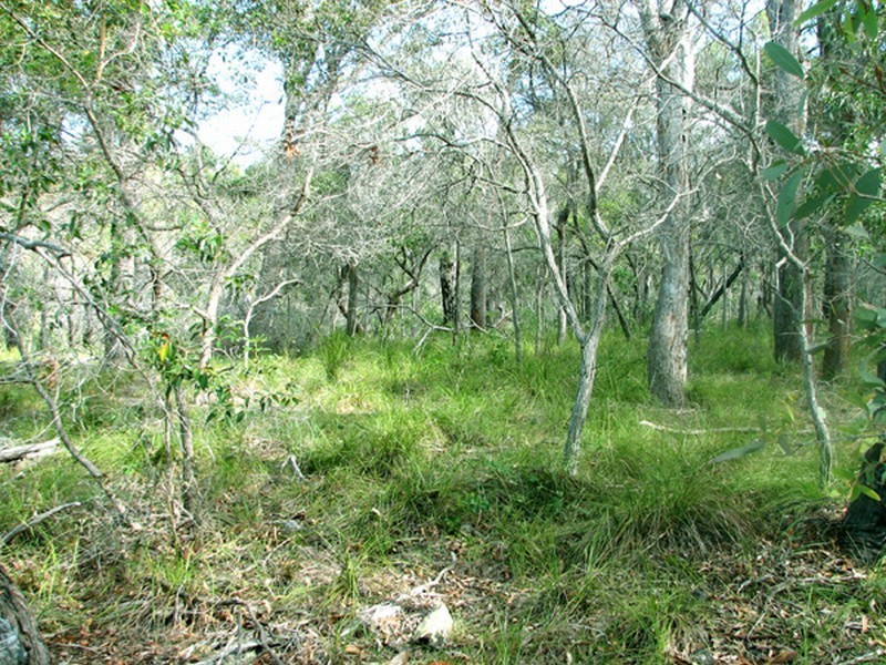 Agnes Water QLD 4677