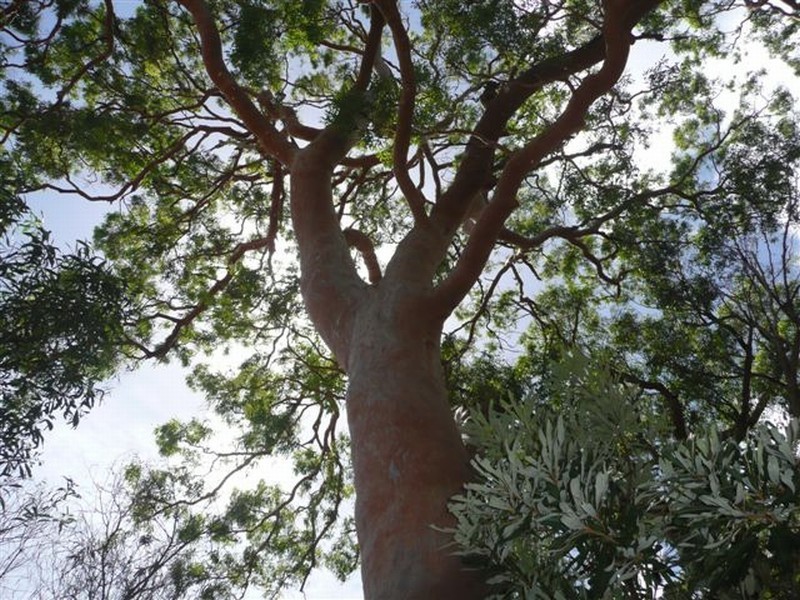 Agnes Water QLD 4677