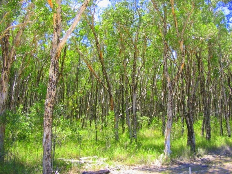 Agnes Water QLD 4677