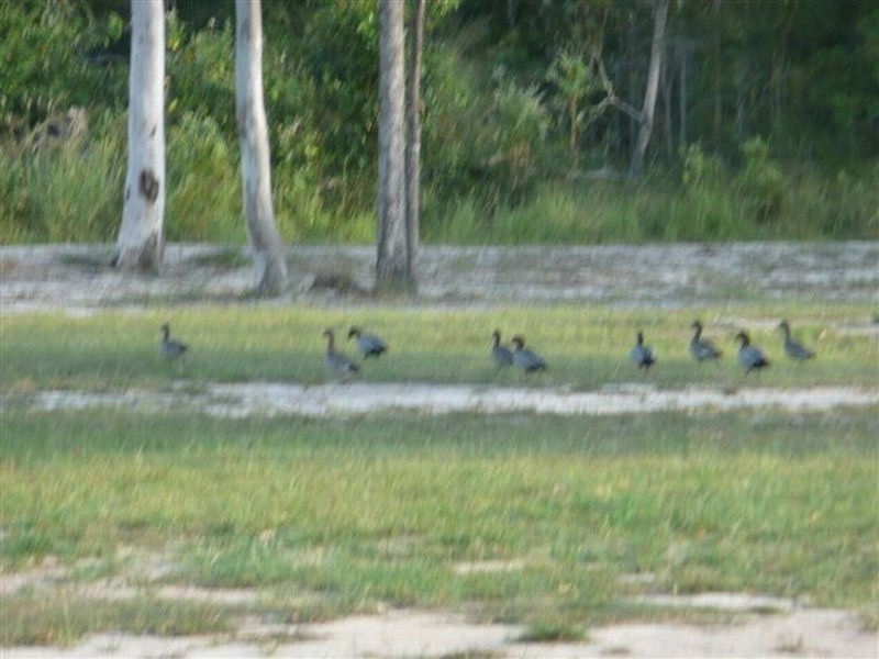 Agnes Water QLD 4677