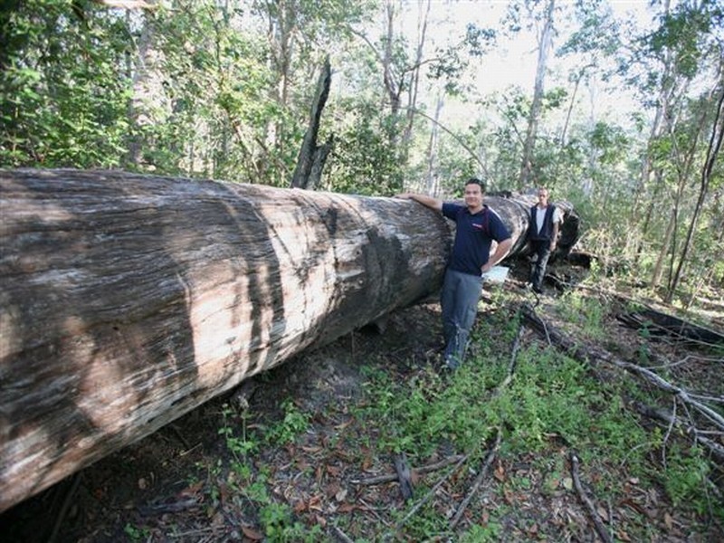 Miriam Vale QLD 4677