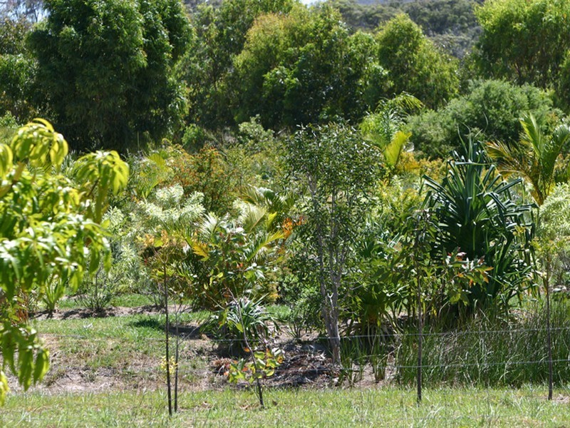 Agnes Water QLD 4677