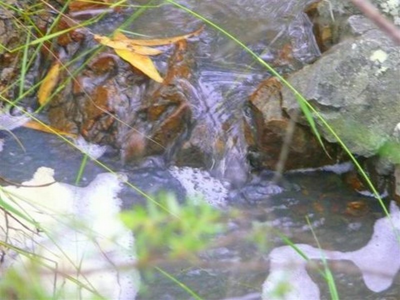 215 Lady Elliot, Agnes Water QLD 4677