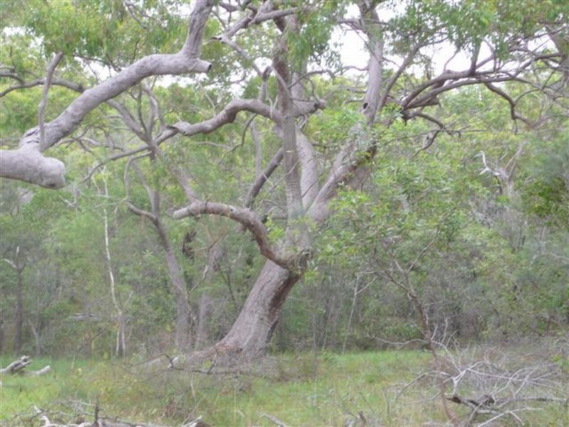 215 Lady Elliot, Agnes Water QLD 4677