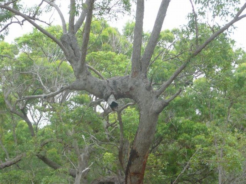 215 Lady Elliot, Agnes Water QLD 4677