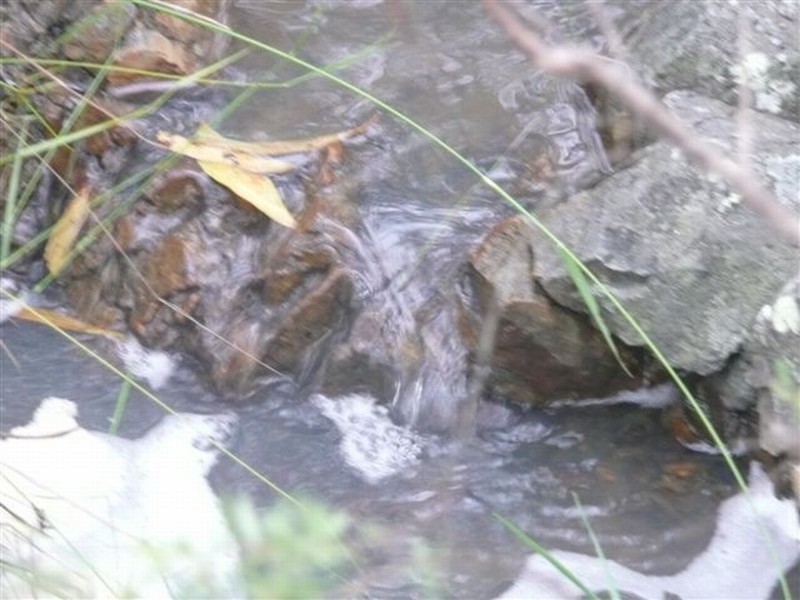 215 Lady Elliot, Agnes Water QLD 4677