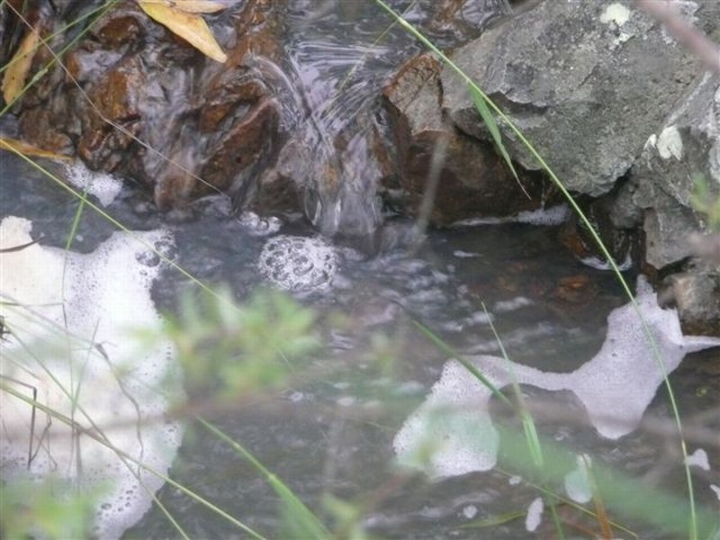 215 Lady Elliot, Agnes Water QLD 4677