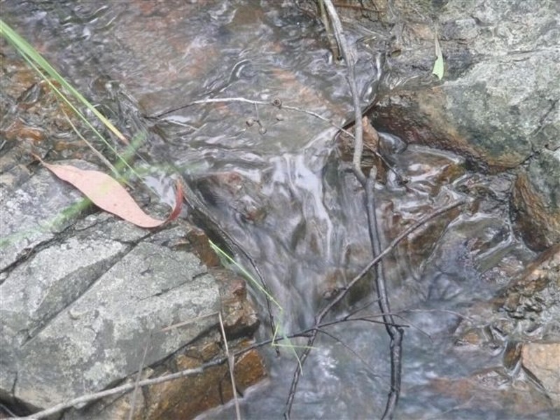 215 Lady Elliot, Agnes Water QLD 4677