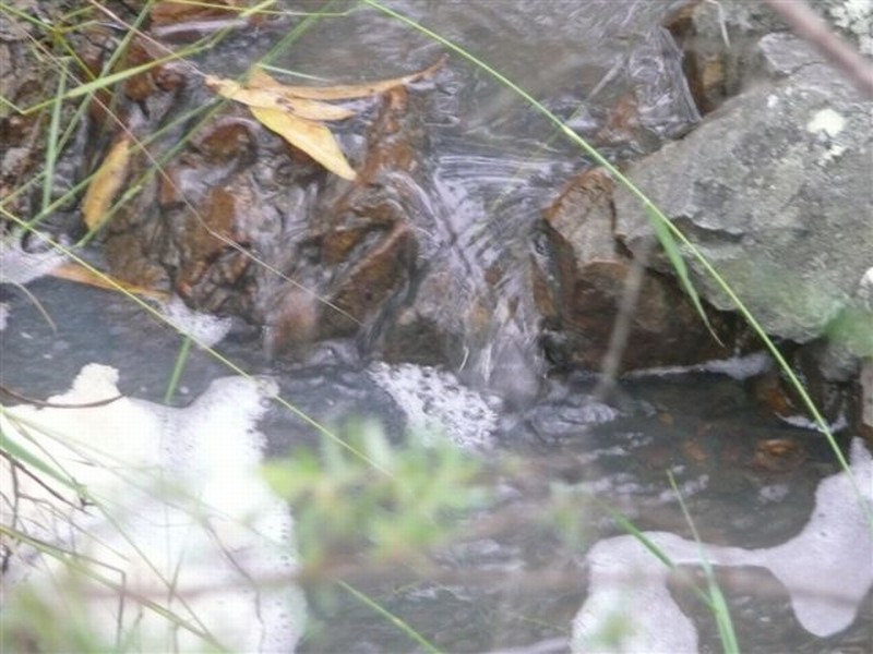 215 Lady Elliot, Agnes Water QLD 4677