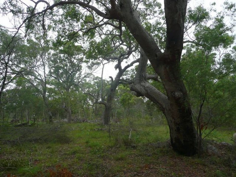 215 Lady Elliot, Agnes Water QLD 4677